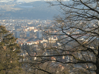 Вид на Инсбрук со стороны зоопарка.